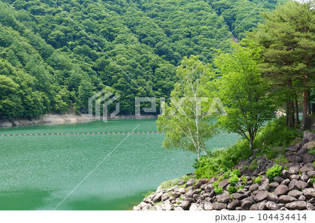 水辺の風景　山梨県広瀬湖 104434414