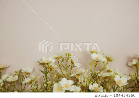 Flower frame with space for copy on pink background Flower frame with space for copy on pink background 104434566