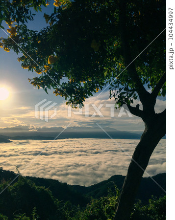 Beautiful of cloud sky colorful sunrise and view mist moving on mountain 104434997
