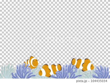 Sea anemone and anemone fish Sea anemone and anemone fish 104435034