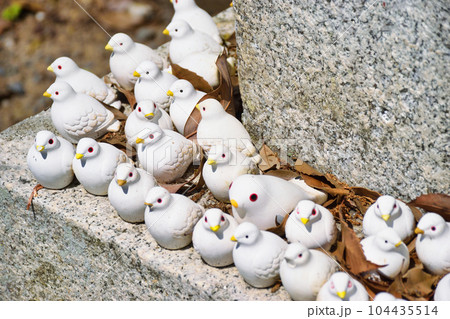 三宅八幡宮の鳩(京都市左京区上高野) 三宅八幡宮の鳩(京都市左京区上高野) 104435514