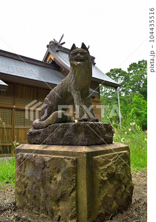 新潟県上越市五智に鎮座する越後国一宮の居多神社　お稲荷さま 104435516