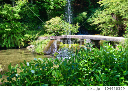 三宅八幡宮の池と噴水（京都市左京区上高野） 104436399