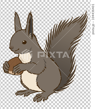 Ezo squirrel with chestnut 104436401