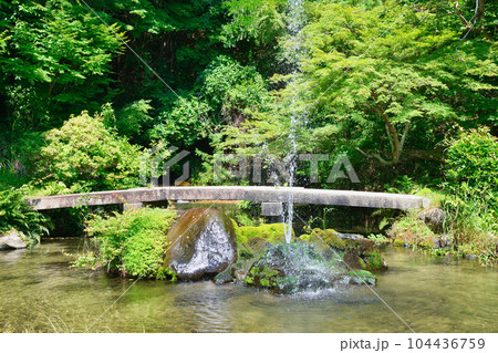 三宅八幡宮の池と噴水（京都市左京区上高野） 104436759