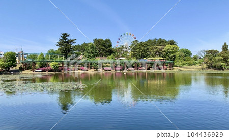 青空・観覧車・こども汽車ゆめポッポと満開のツツジ〈南公園(西三田ヶ入池)/愛知県岡崎市〉 青空・観覧車・こども汽車ゆめポッポと満開のツツジ〈南公園(西三田ヶ入池)/愛知県岡崎市〉 104436929