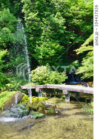 三宅八幡宮の池と噴水(京都市左京区上高野) 三宅八幡宮の池と噴水(京都市左京区上高野) 104437836