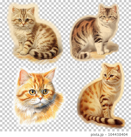 Cat set Cat set 104438404