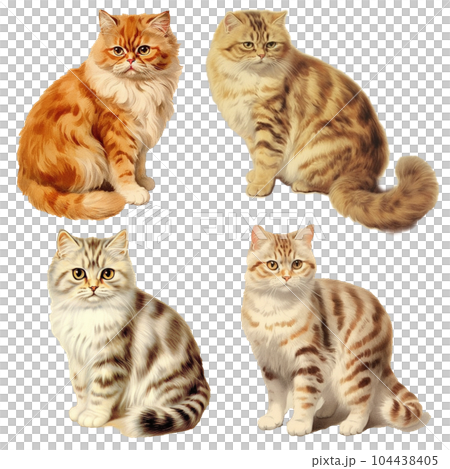 太めの猫セット 太めの猫セット 104438405