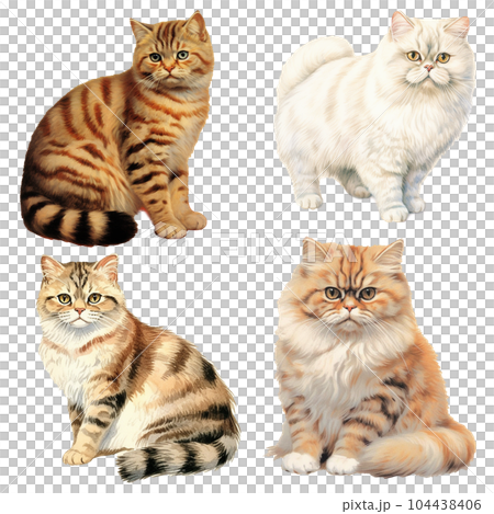 太めの猫セット 104438406