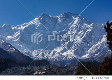 Nanga Parbat is the ninth highest mountain in the world at 8,126 meters, from Fairy Meadows,Gilgit-Baltistan, Pakistan, Nanga Parbat is the ninth highest mountain in the world at 8,126 meters, from Fairy Meadows,Gilgit-Baltistan, Pakistan, 104438706