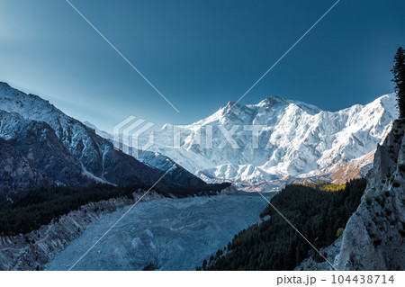Nanga Parbat is the ninth highest mountain in the world at 8,126 meters, from Fairy Meadows,Gilgit-Baltistan, Pakistan, 104438714