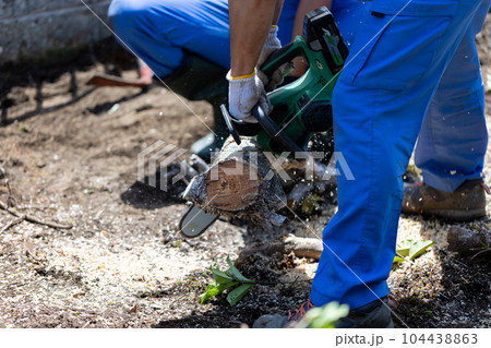 庭木の伐採 104438863