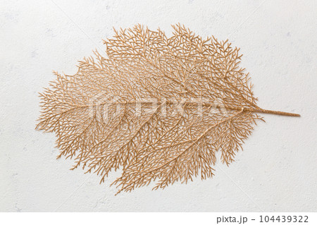 Top view of golden leaf shaped tablecloth for food on cement background. Empty space for your design. 104439322