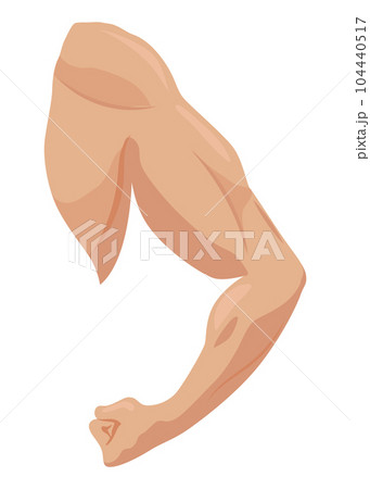 Male biceps muscles icons set. Sportsman arm with strong biceps. Vector symbol of healthy power. Athletic body with tense muscles hand isolated onwhite background Male biceps muscles icons set. Sportsman arm with strong biceps. Vector symbol of healthy power. Athletic body with tense muscles hand isolated onwhite background 104440517
