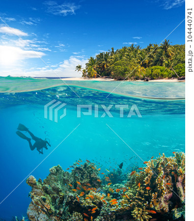 Under and above water surface view of scuba diver Under and above water surface view of scuba diver 104440741