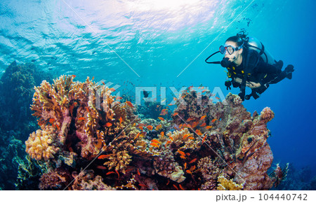 Silhouette of scuba diver exploring coral reef. Silhouette of scuba diver exploring coral reef. 104440742