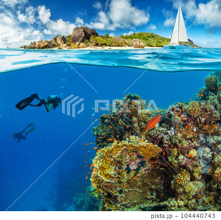 Under and above water surface view of scuba divers. Under and above water surface view of scuba divers. 104440743
