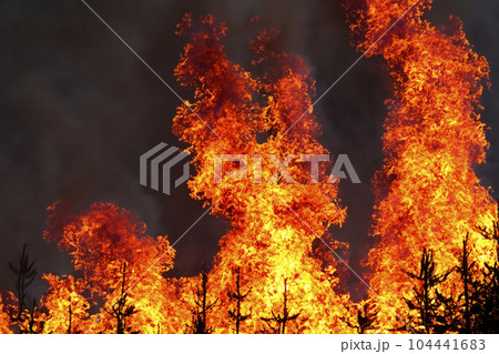 Forest fire. Forest fire in progress. Wildfire. Large flames of forest fire. Forest fire in the afternoon. Grass and trees are burning. Fire and smoke. Forest fire. Forest fire in progress. Wildfire. Large flames of forest fire. Forest fire in the afternoon. Grass and trees are burning. Fire and smoke. 104441683