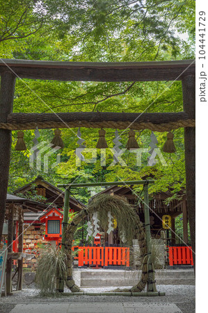 野宮神社の初夏、夏越の祓の「茅の輪」 104441729