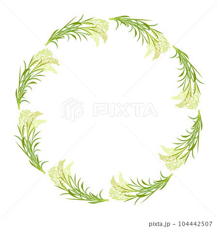 Round frame made of rice ears. Border of plant twigs and leaves for design. Basmati wreath Round frame made of rice ears. Border of plant twigs and leaves for design. Basmati wreath 104442507