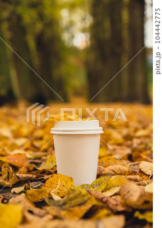 Eco zero waste white paper cup copy space mockup. Fall leaves and cup of tea coffee to go next to autumn nature. Unite with nature Eco zero waste white paper cup copy space mockup. Fall leaves and cup of tea coffee to go next to autumn nature. Unite with nature 104442775