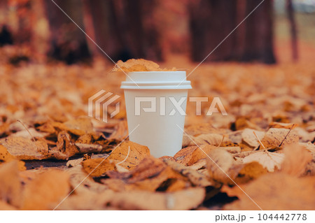 Eco zero waste white paper cup copy space mockup. Fall leaves and cup of tea coffee to go next to autumn nature. Unite with nature 104442778