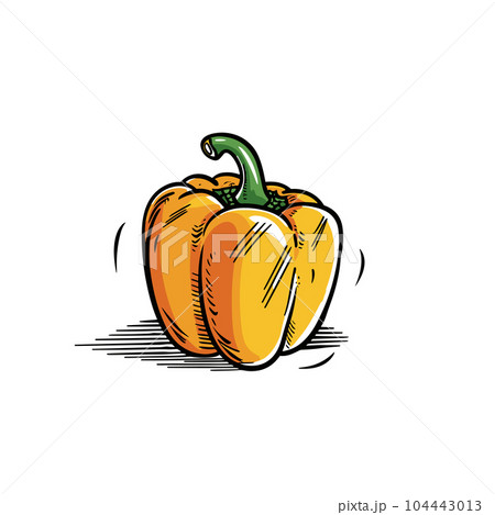 Bell pepper hand-drawn illustration. Bell pepper. Vector doodle style cartoon illustration 104443013