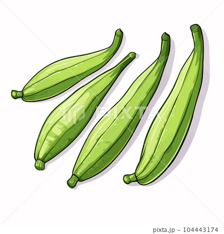 Okra Abelmoschus esculentus , or Lady Finger Plant. Stock Vector by  ©Foxyliam 146418739