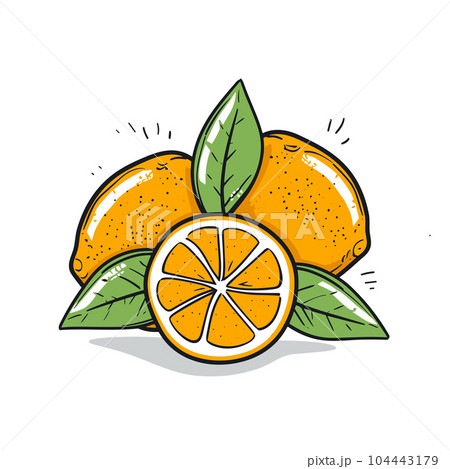 Orange hand-drawn illustration. Orange. Vector doodle style cartoon illustration Orange hand-drawn illustration. Orange. Vector doodle style cartoon illustration 104443179