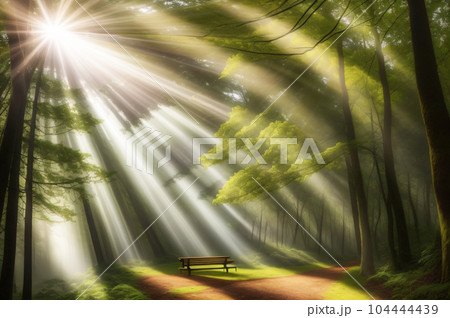【AI画像】森への木漏れ日、イメージ 104444439