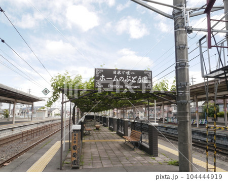 塩尻駅のブドウ畑 104444919