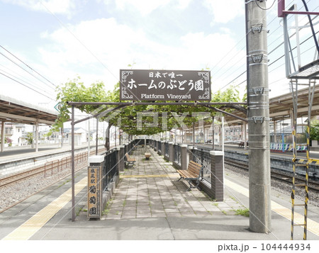 塩尻駅にあるホームのぶどう園 塩尻駅にあるホームのぶどう園 104444934