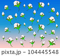 The sky is in cotton colours. Cotton flowers. Art of cotton flowers. Cotton flowers for any design. 104445548