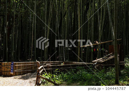 松阪市 美濃田竹林街道 104445787