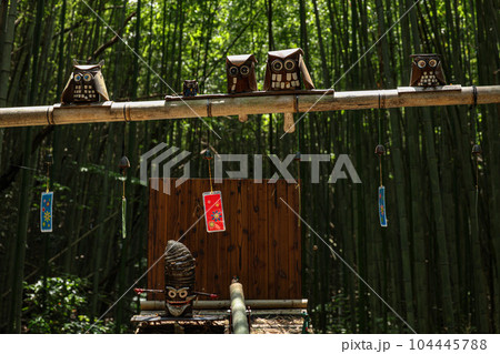 松阪市 美濃田竹林街道 松阪市 美濃田竹林街道 104445788