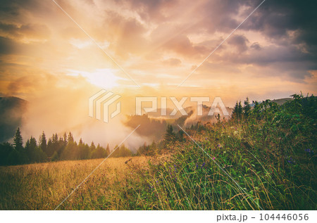 Foggy morning landscape Foggy morning landscape 104446056