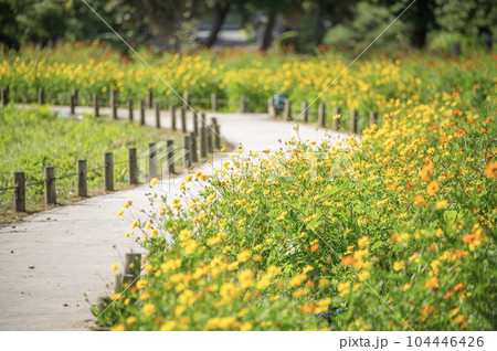 浜離宮恩賜庭園　東京都中央区浜離宮庭園　 104446426