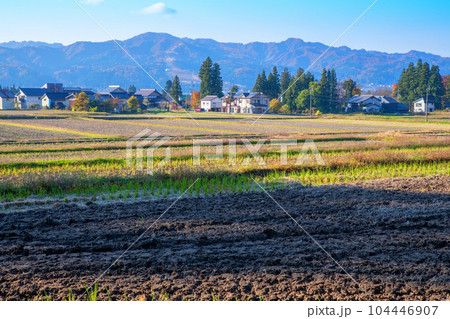 晩秋の南魚沼　田園風景　秋景色　新潟県南魚沼市　　 104446907