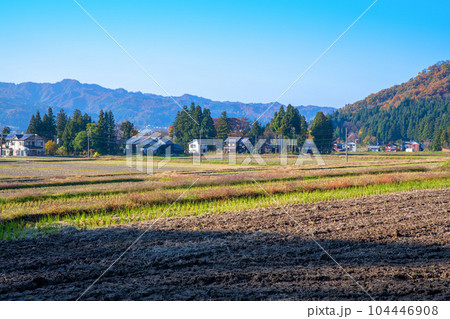 晩秋の南魚沼　田園風景　秋景色　新潟県南魚沼市　　 104446908