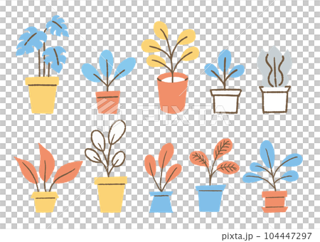 各種觀葉植物_顏色集 104447297