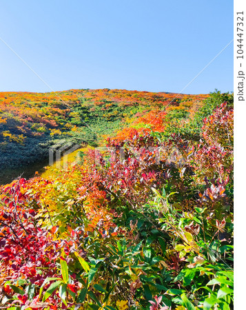 秋の栗駒山登山（産沼コース） 104447321