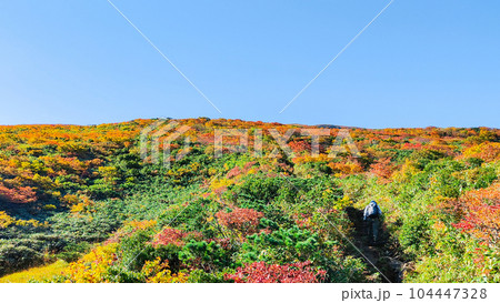 秋の栗駒山登山(産沼コース) 秋の栗駒山登山(産沼コース) 104447328
