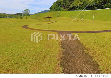 公園　小道　草原　木　東屋 104447498