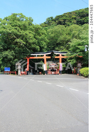 並列鳥居がある諏訪神社の景色 104447665