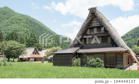 五箇山・菅沼合掌造り集落(夏) 五箇山・菅沼合掌造り集落(夏) 104449137