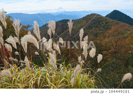 冬枯れの野。 104449181