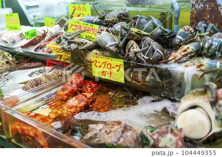 沖縄の市場に並んだ南国の魚 104449355