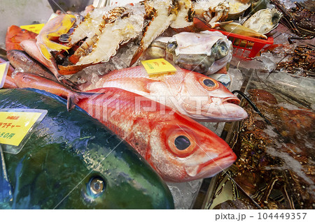 沖縄の市場に並んだ南国の魚 沖縄の市場に並んだ南国の魚 104449357