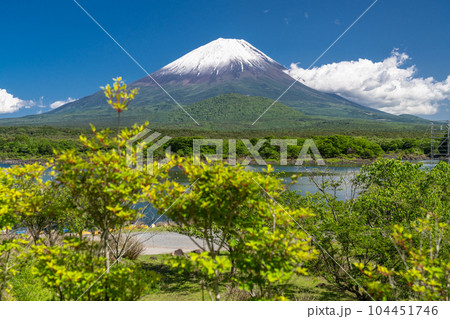《山梨県》初夏の富士山・精進湖湖畔の新緑 104451746
